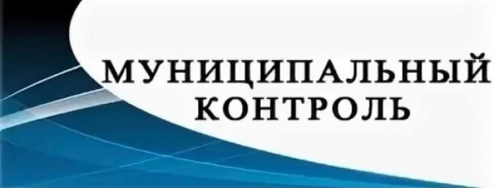 Доклад о виде государственного контроля (надзора), муниципального контроля. Доклад о виде государственного контроля (надзора), муниципального контроля.